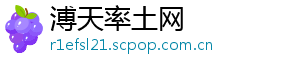 溥天率土网